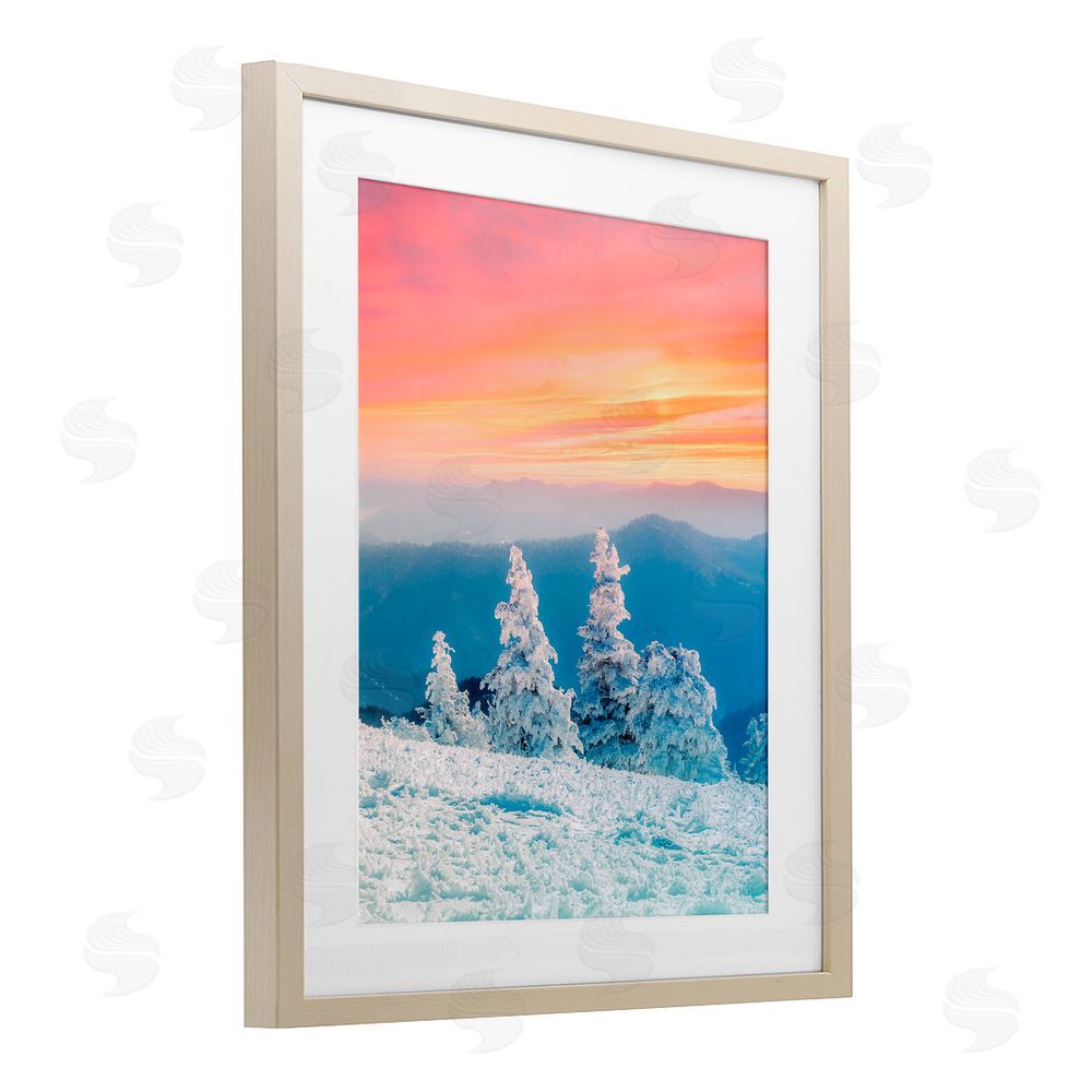 Jared Kreiss Fire And Ice Sunset Birch Framed Print Under Glass with White Mat Wall Art