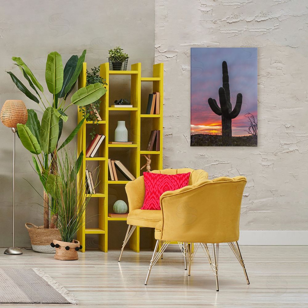 Jeff Poe Photography Arizona Cactus at Sunset Canvas Art on Wall