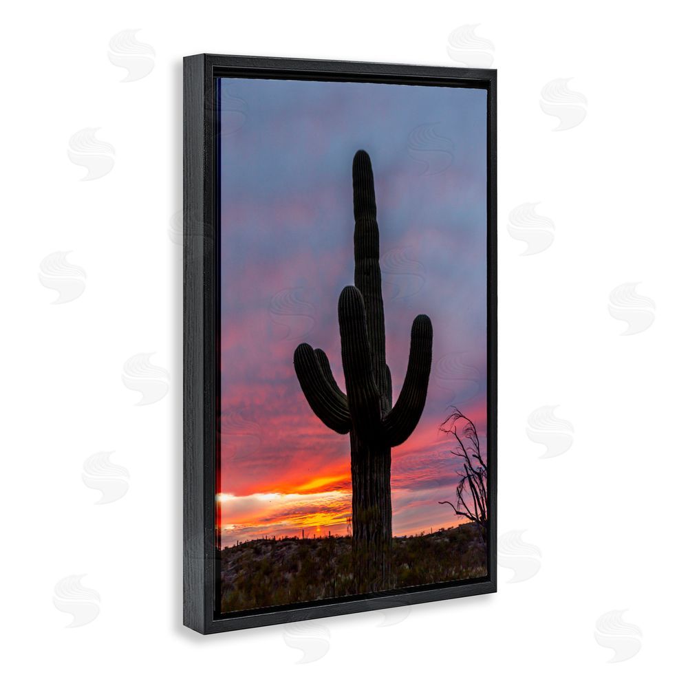 Jeff Poe Photography Arizona Cactus at Sunset Black Floating Frame Canvas Wall Art Print
