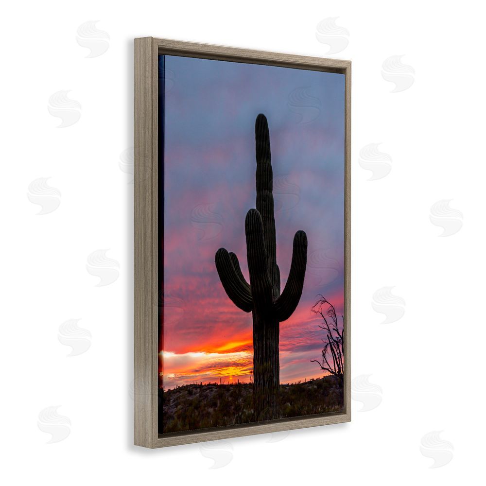 Jeff Poe Photography Arizona Cactus at Sunset Brown Floating Frame Canvas Wall Art Print