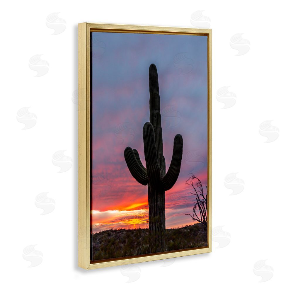 Jeff Poe Photography Arizona Cactus at Sunset Gold Floating Frame Canvas Wall Art Print
