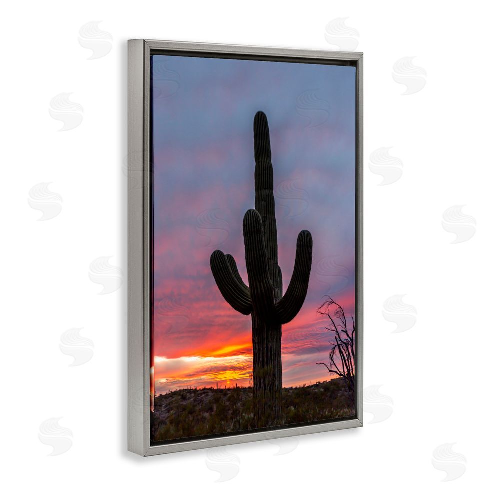 Jeff Poe Photography Arizona Cactus at Sunset Gray Floating Frame Canvas Wall Art Print