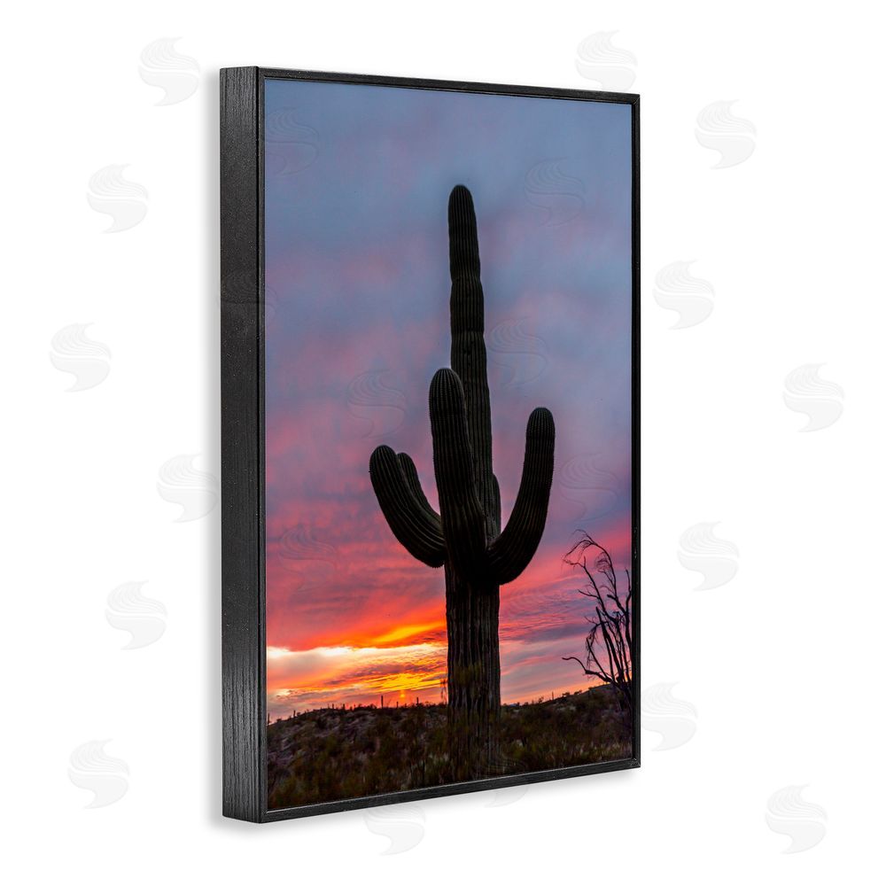 Jeff Poe Photography Arizona Cactus at Sunset Black Framed Giclee Wall Art Print