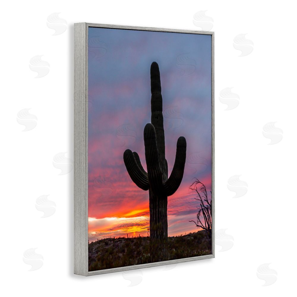 Jeff Poe Photography Arizona Cactus at Sunset Gray Framed Giclee Wall Art Print
