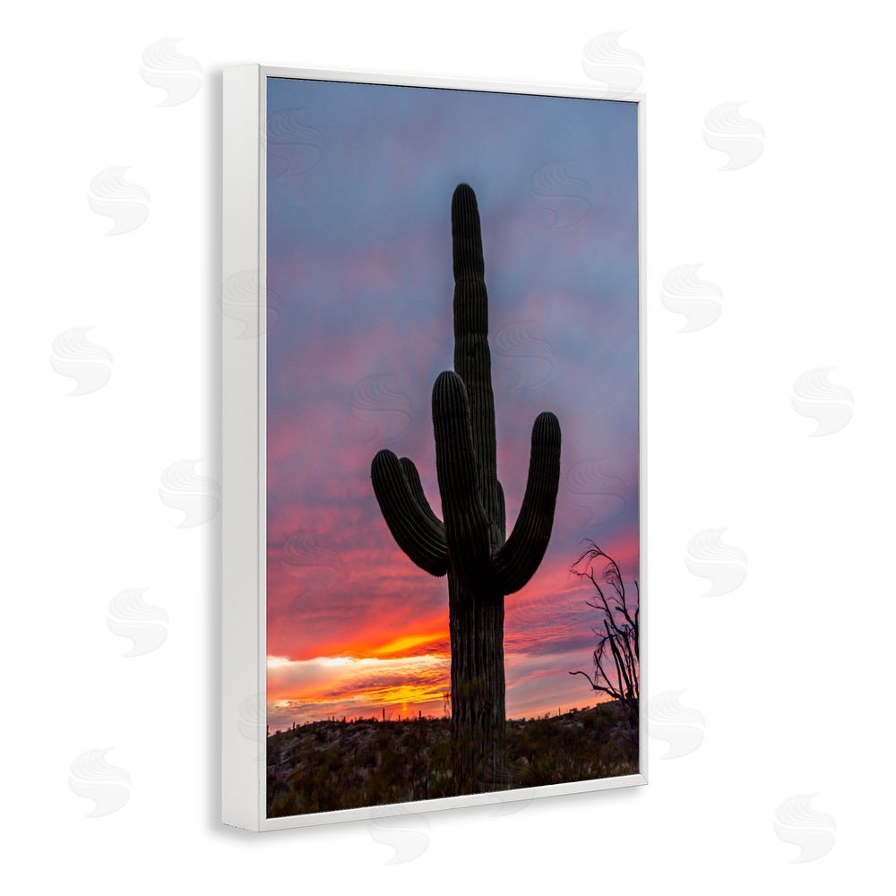 Jeff Poe Photography Arizona Cactus at Sunset White Framed Giclee Wall Art Print