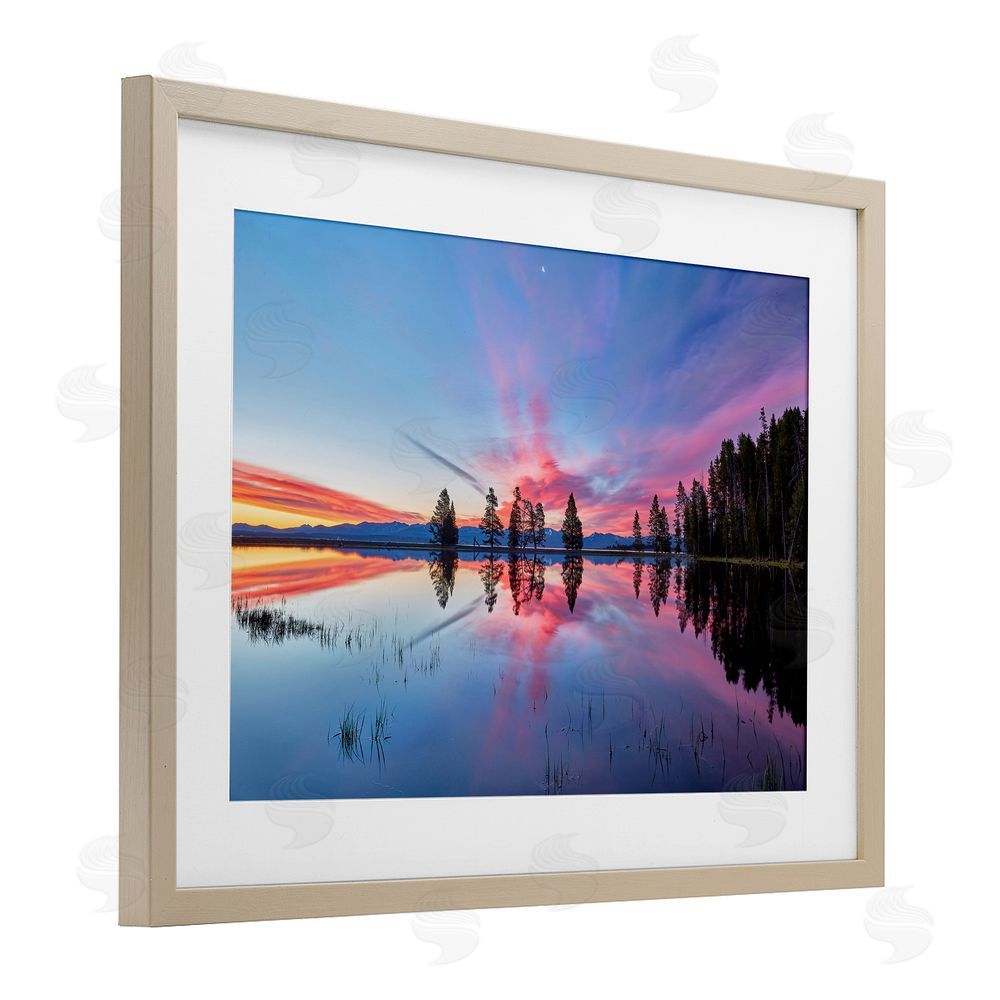 Jon Evan Gull Point At Sunrise Birch Framed Print Under Glass with White Mat Wall Art