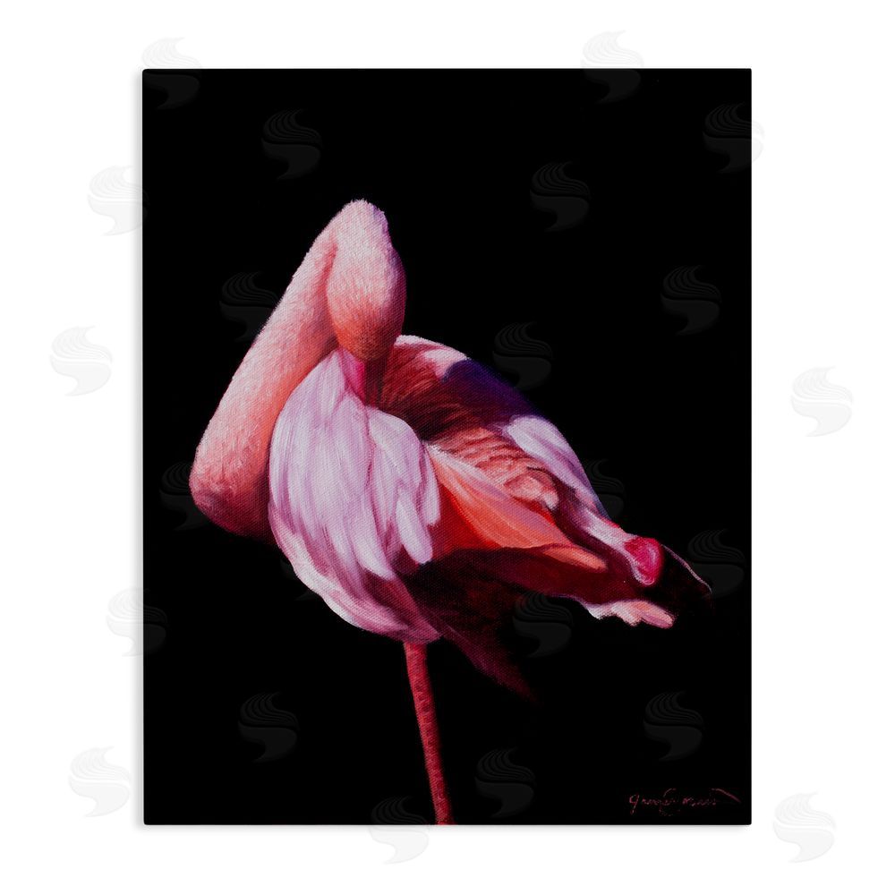 James Corwin Avian Contrast Flamingo Canvas Wall Art Print