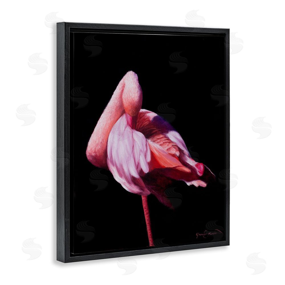 James Corwin Avian Contrast Flamingo Black Floating Frame Canvas Wall Art Print