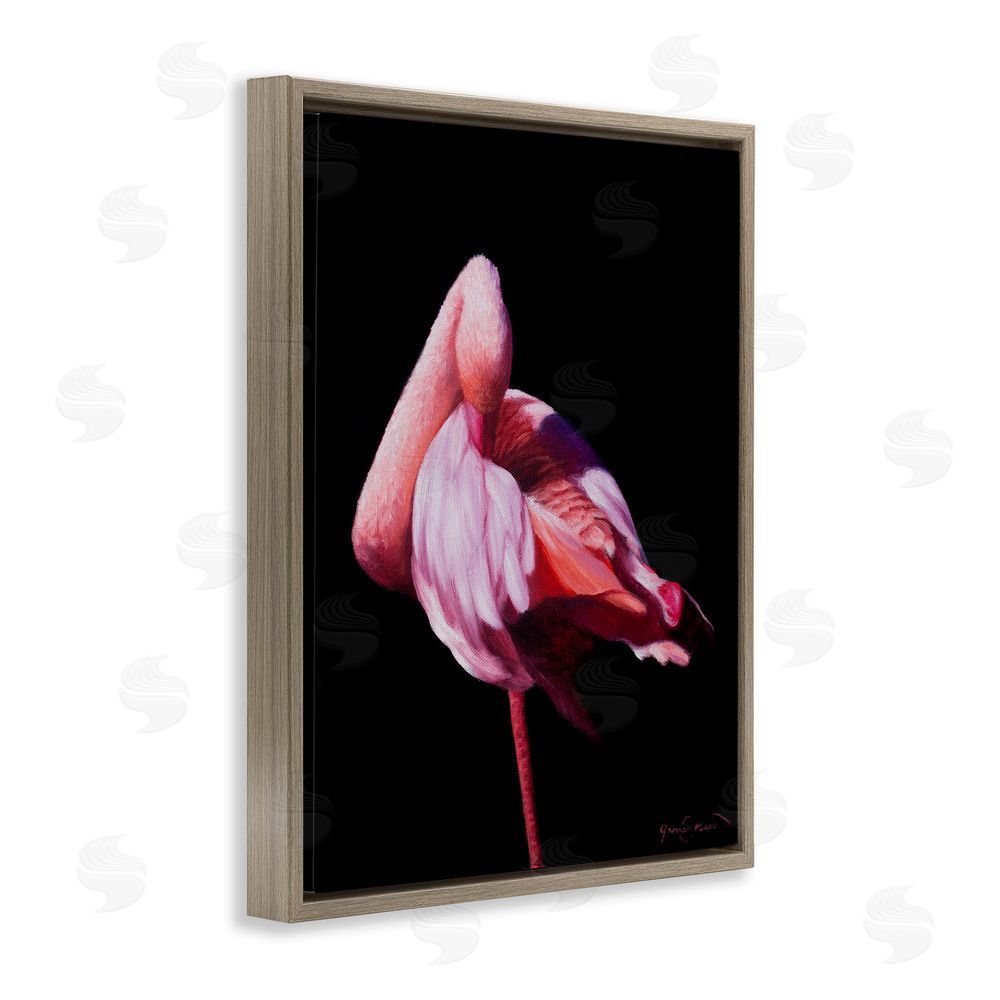 James Corwin Avian Contrast Flamingo Brown Floating Frame Canvas Wall Art Print
