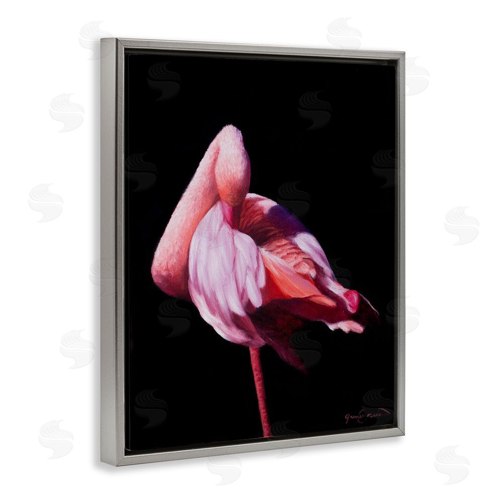 James Corwin Avian Contrast Flamingo Gray Floating Frame Canvas Wall Art Print