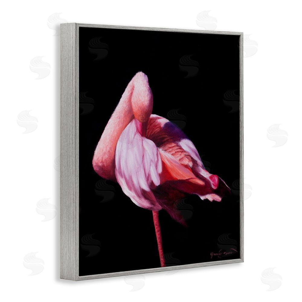 James Corwin Avian Contrast Flamingo Gray Framed Giclee Wall Art Print