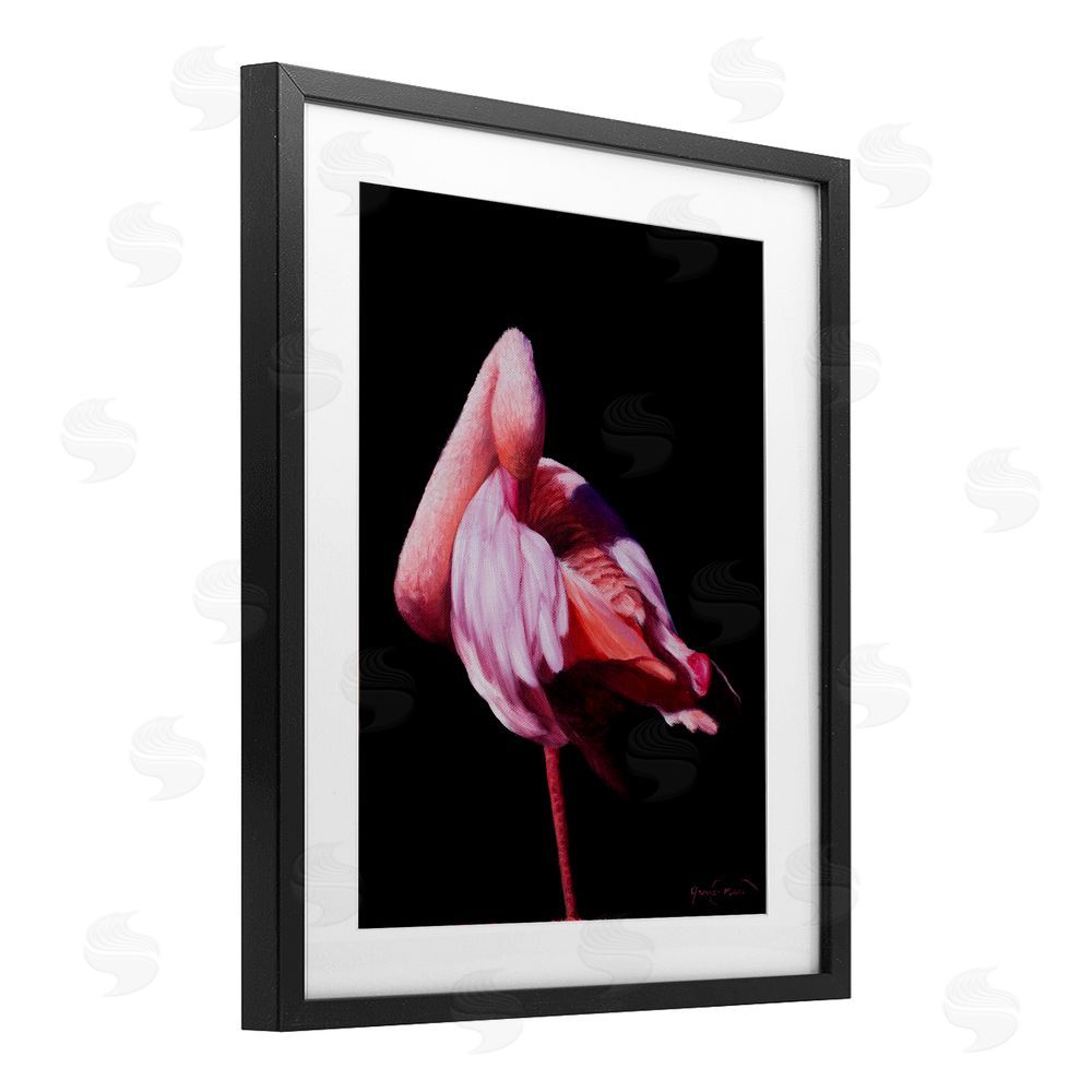 James Corwin Avian Contrast Flamingo Black Framed Print Under Glass with White Mat Wall Art