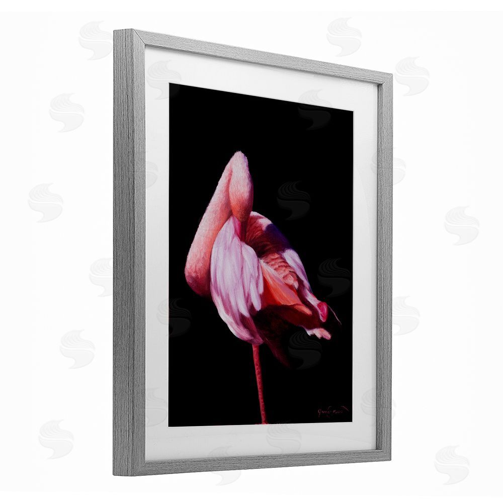 James Corwin Avian Contrast Flamingo Gray Framed Print Under Glass with White Mat Wall Art