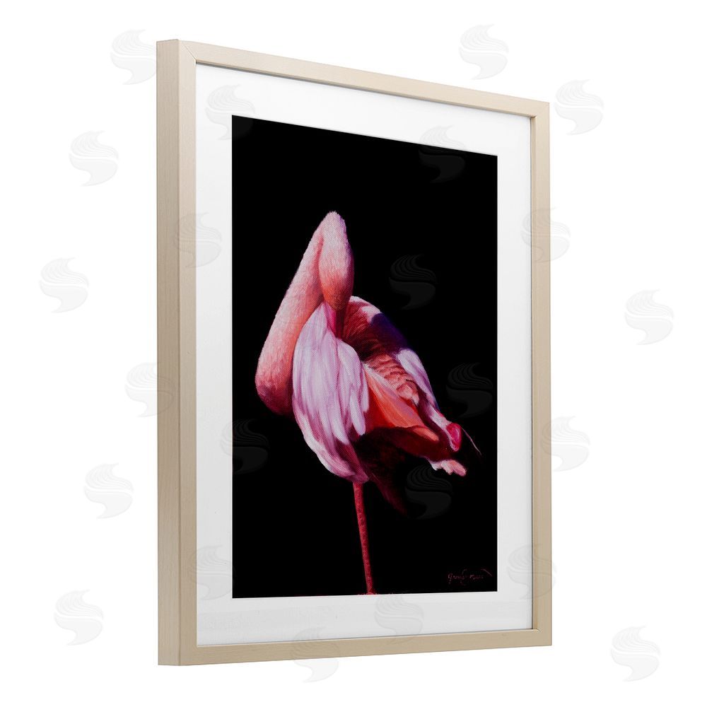 James Corwin Avian Contrast Flamingo Birch Framed Print Under Glass with White Mat Wall Art