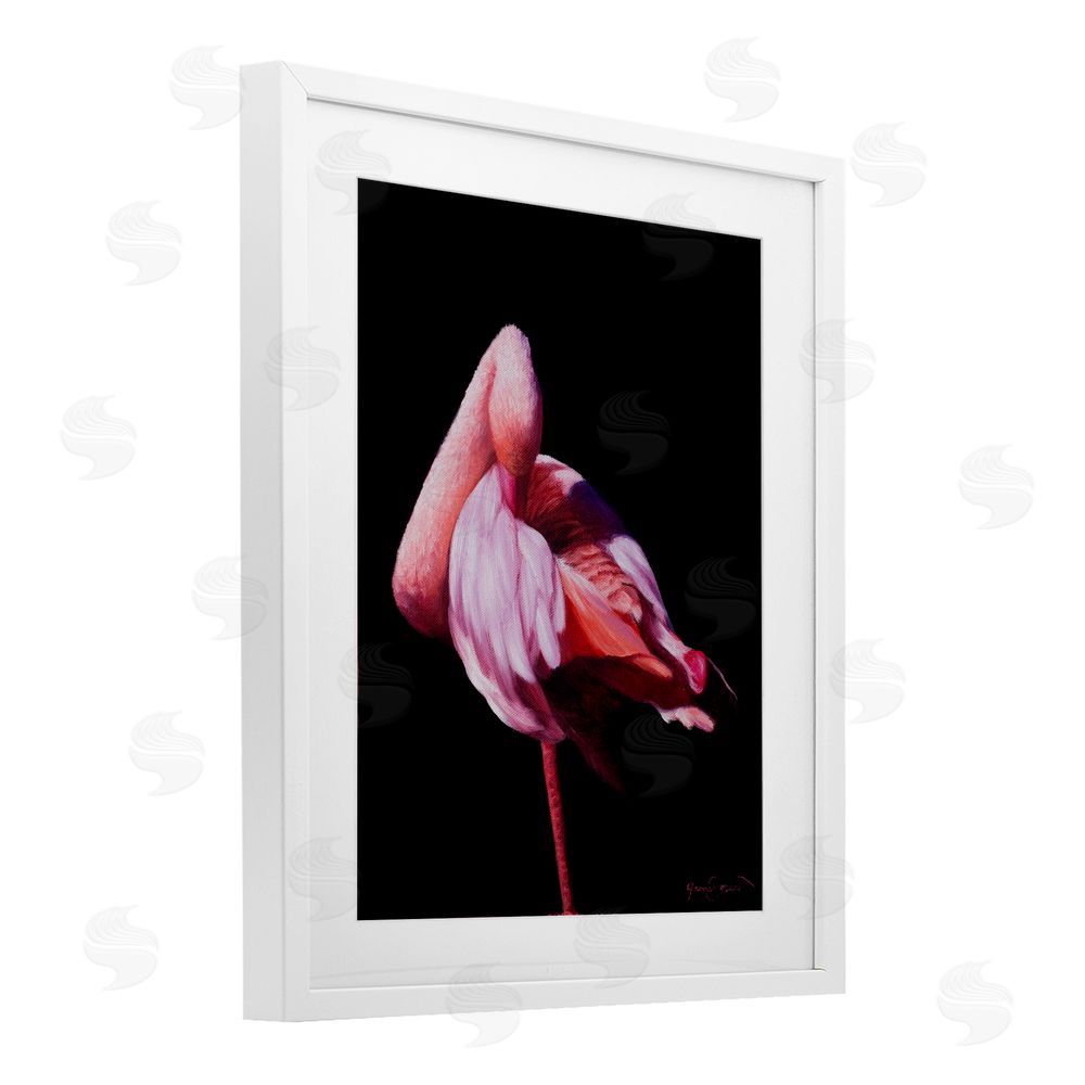 James Corwin Avian Contrast Flamingo White Framed Print Under Glass with Mat Wall Art