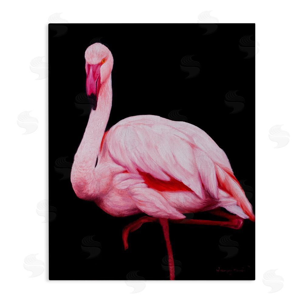 James Corwin Contrasting Flamingo on Black Canvas Wall Art Print