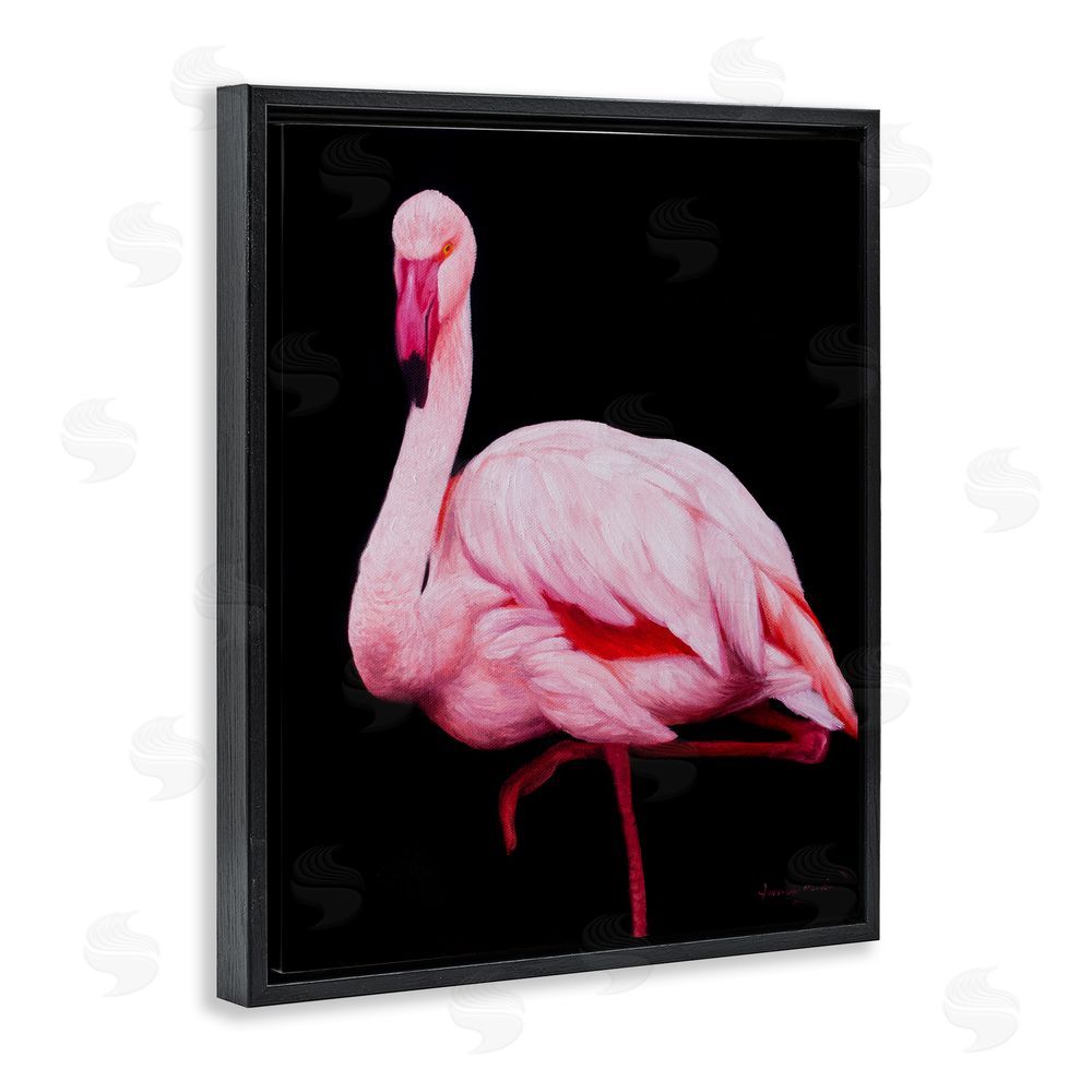 James Corwin Contrasting Flamingo on Black Black Floating Frame Canvas Wall Art Print