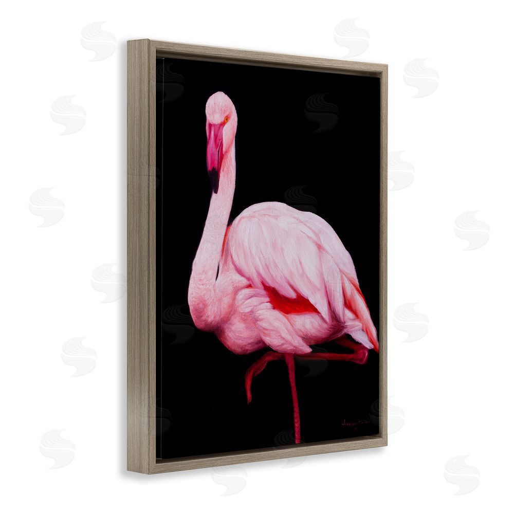James Corwin Contrasting Flamingo on Black Brown Floating Frame Canvas Wall Art Print