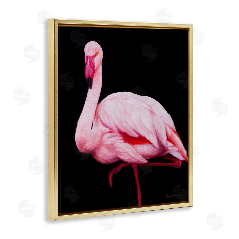 James Corwin Contrasting Flamingo on Black Gold Floating Frame Canvas Wall Art Print