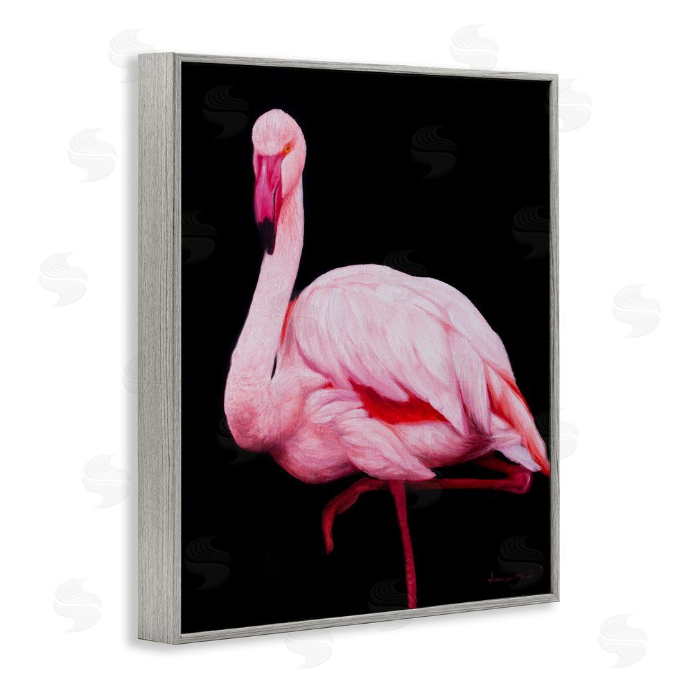 James Corwin Contrasting Flamingo on Black Gray Framed Giclee Wall Art Print