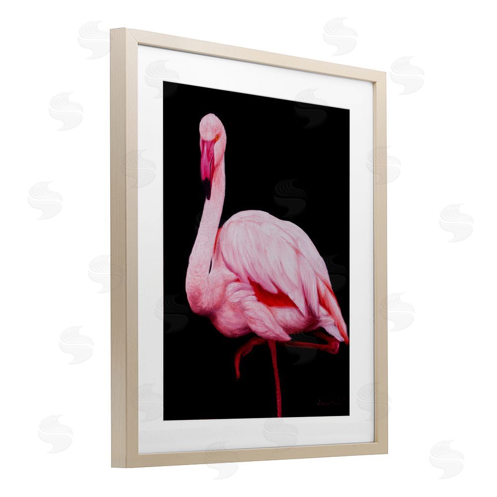 James Corwin Contrasting Flamingo on Black Birch Framed Print Under Glass with White Mat Wall Art