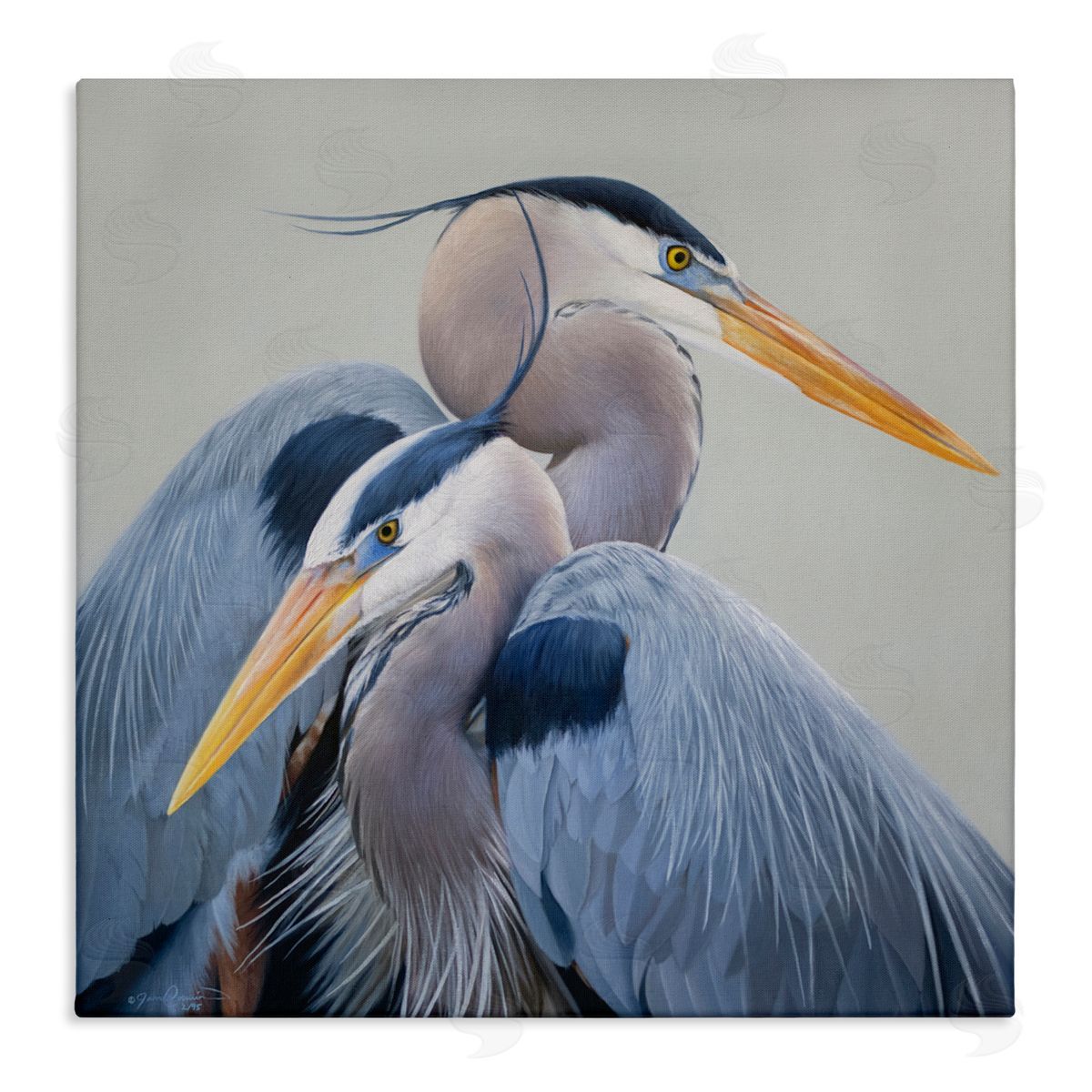 James Corwin Elegant Heron Twins Canvas Wall Art Print