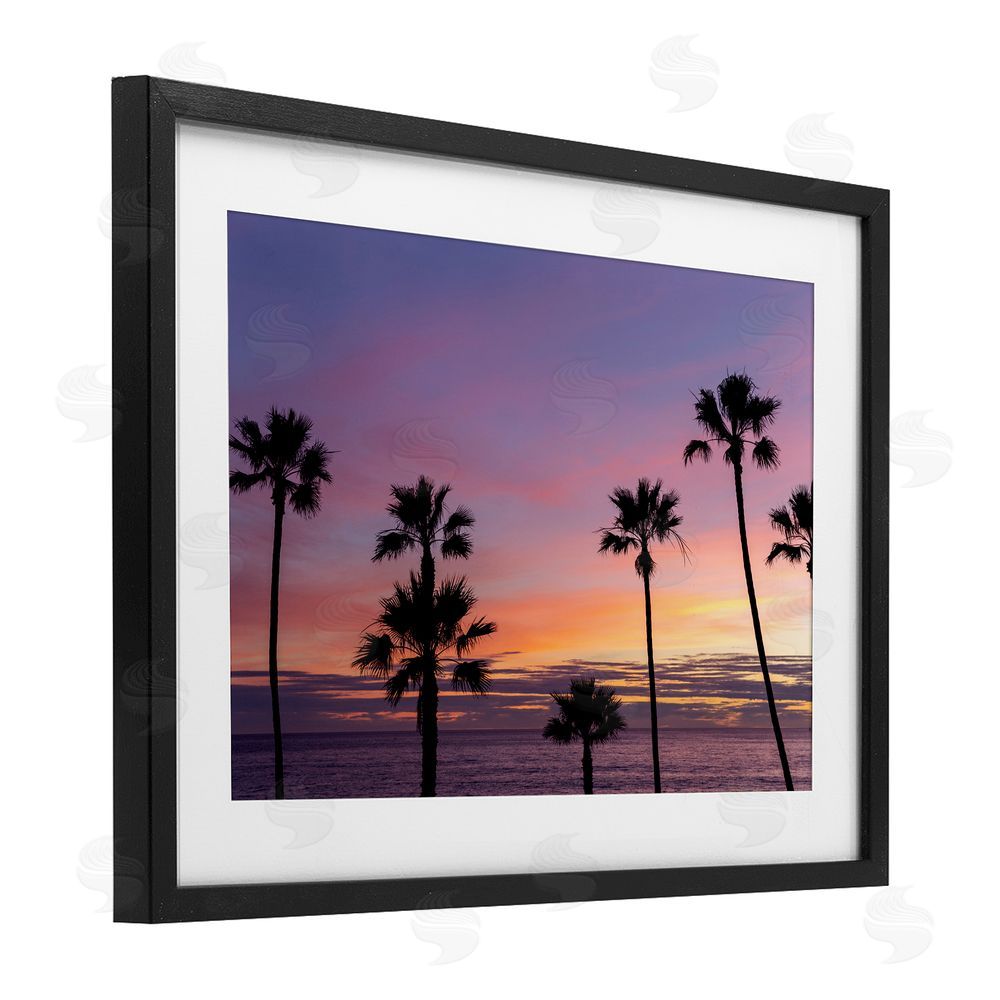 Jeff Poe Photography Sunsets & Scattered Palm Trees Black Framed Print Under Glass with White Mat Wall Art