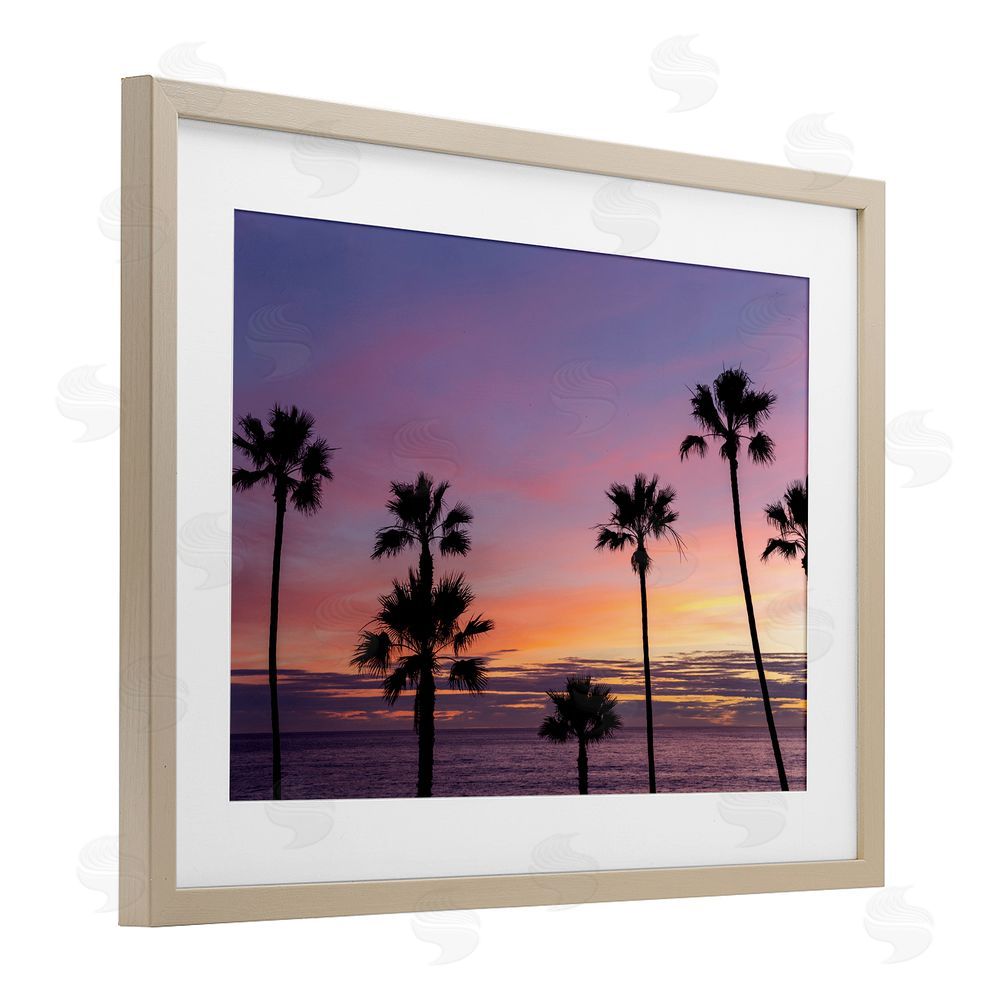 Jeff Poe Photography Sunsets & Scattered Palm Trees Birch Framed Print Under Glass with White Mat Wall Art