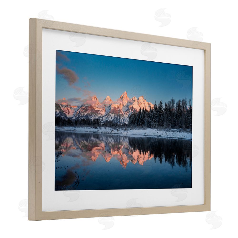 Jared Kreiss Grand Morning View Birch Framed Print Under Glass with White Mat Wall Art
