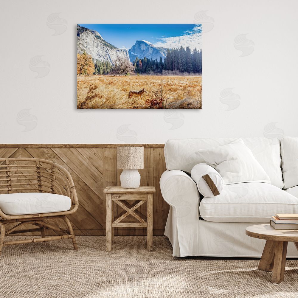 Jeff Poe Photography Coyote in Mountain Prairie Canvas Art on Wall
