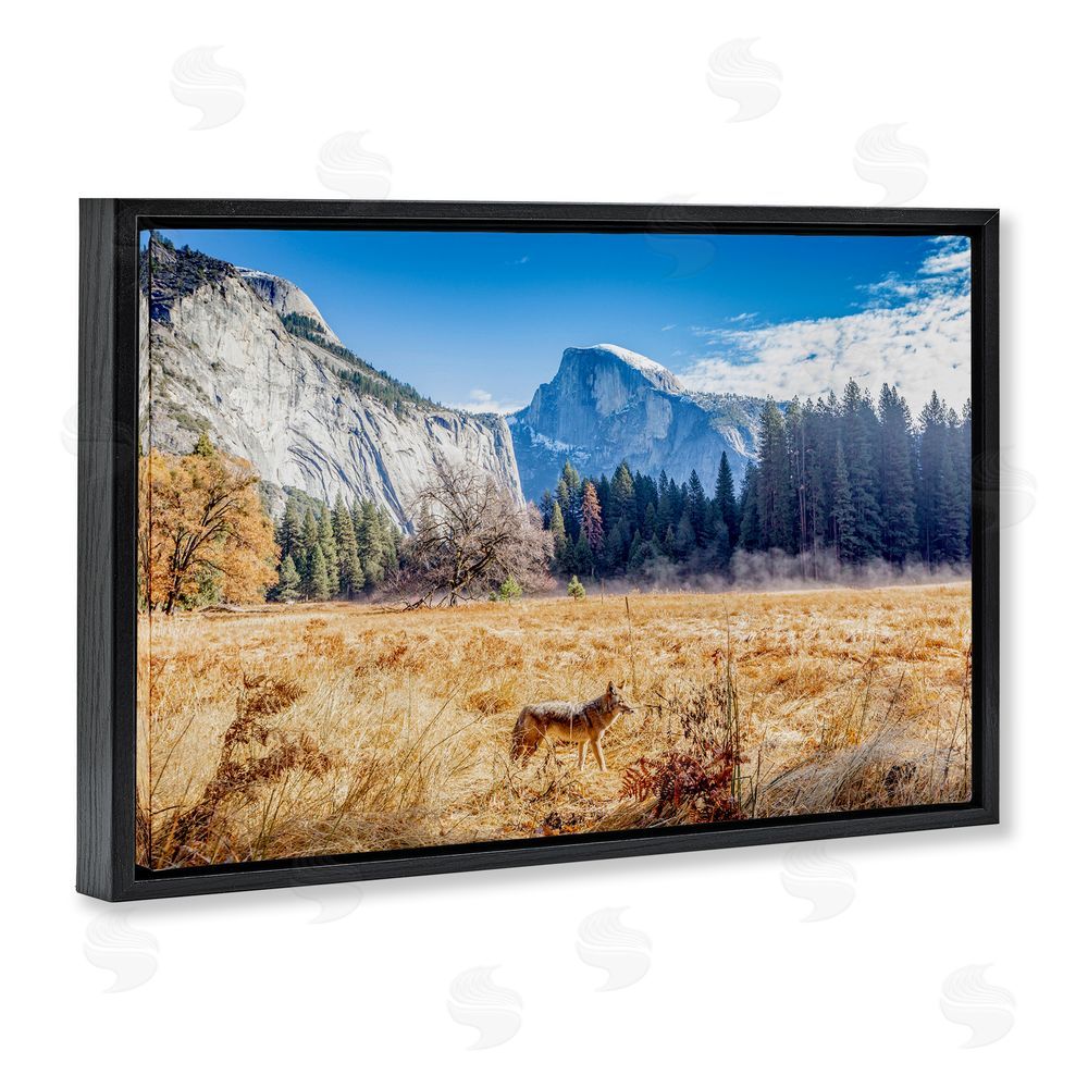 Jeff Poe Photography Coyote in Mountain Prairie Black Floating Frame Canvas Wall Art Print