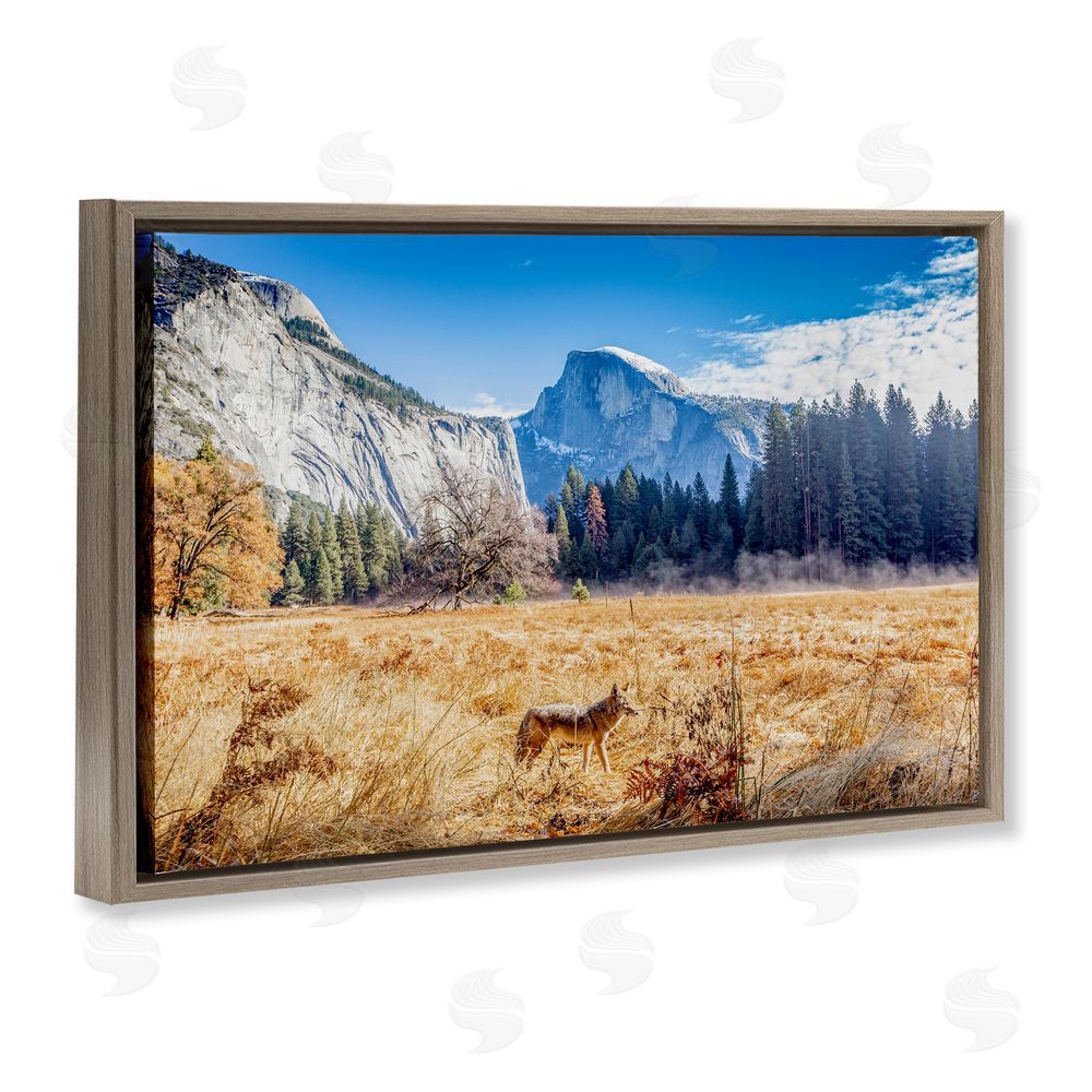 Jeff Poe Photography Coyote in Mountain Prairie Brown Floating Frame Canvas Wall Art Print
