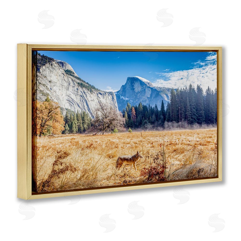 Jeff Poe Photography Coyote in Mountain Prairie Gold Floating Frame Canvas Wall Art Print