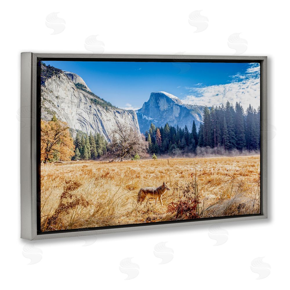 Jeff Poe Photography Coyote in Mountain Prairie Gray Floating Frame Canvas Wall Art Print