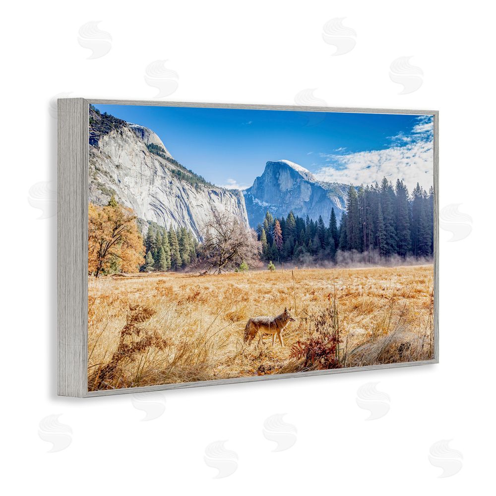 Jeff Poe Photography Coyote in Mountain Prairie Gray Framed Giclee Wall Art Print