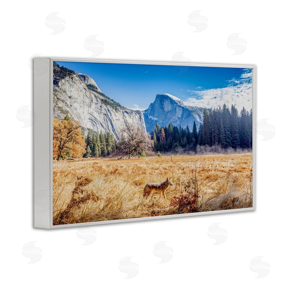 Jeff Poe Photography Coyote in Mountain Prairie White Framed Giclee Wall Art Print