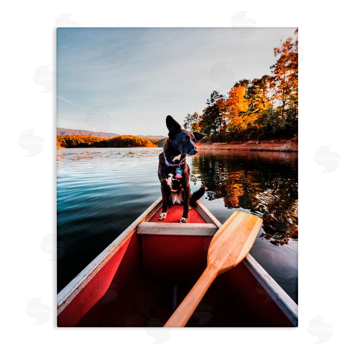 Jared Kreiss Pup And Paddles Canvas Wall Art Print