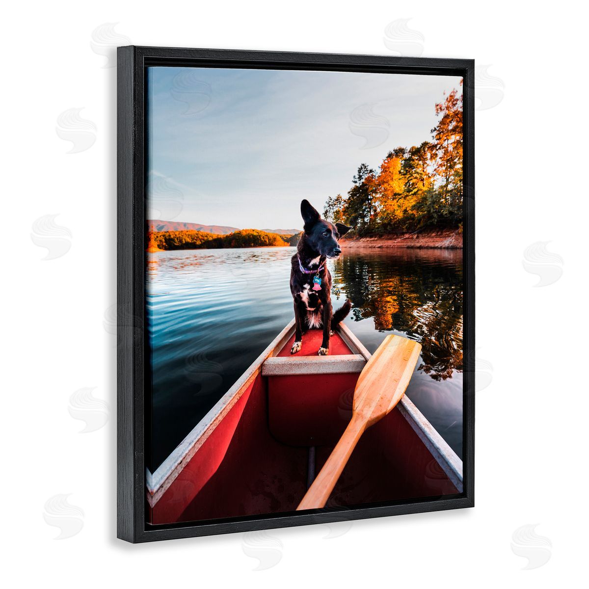 Jared Kreiss Pup And Paddles Black Floating Frame Canvas Wall Art Print