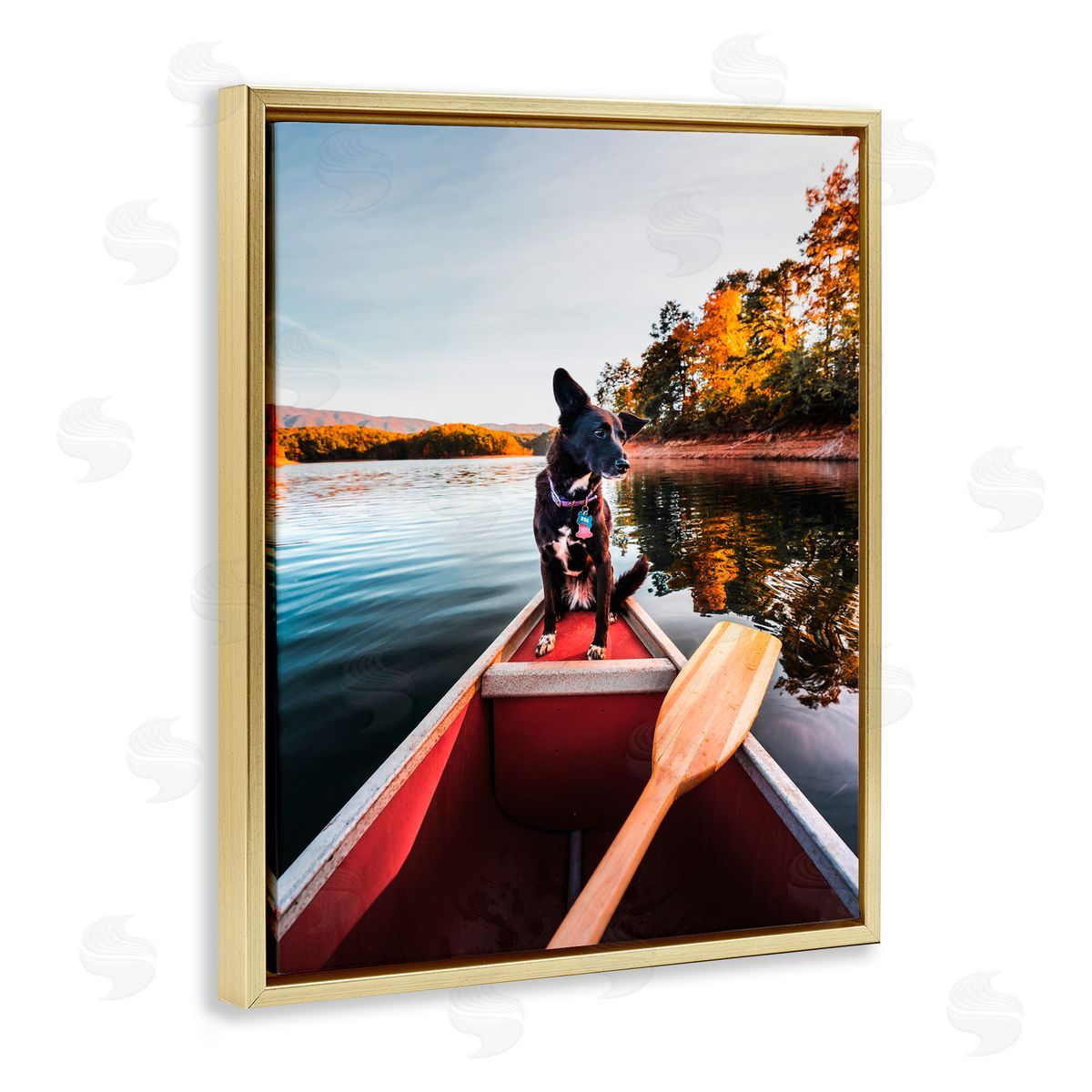 Jared Kreiss Pup And Paddles Gold Floating Frame Canvas Wall Art Print