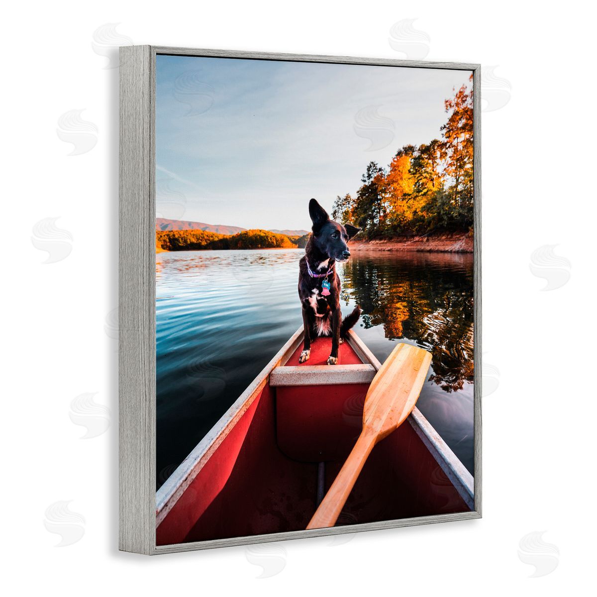 Jared Kreiss Pup And Paddles Gray Framed Giclee Wall Art Print