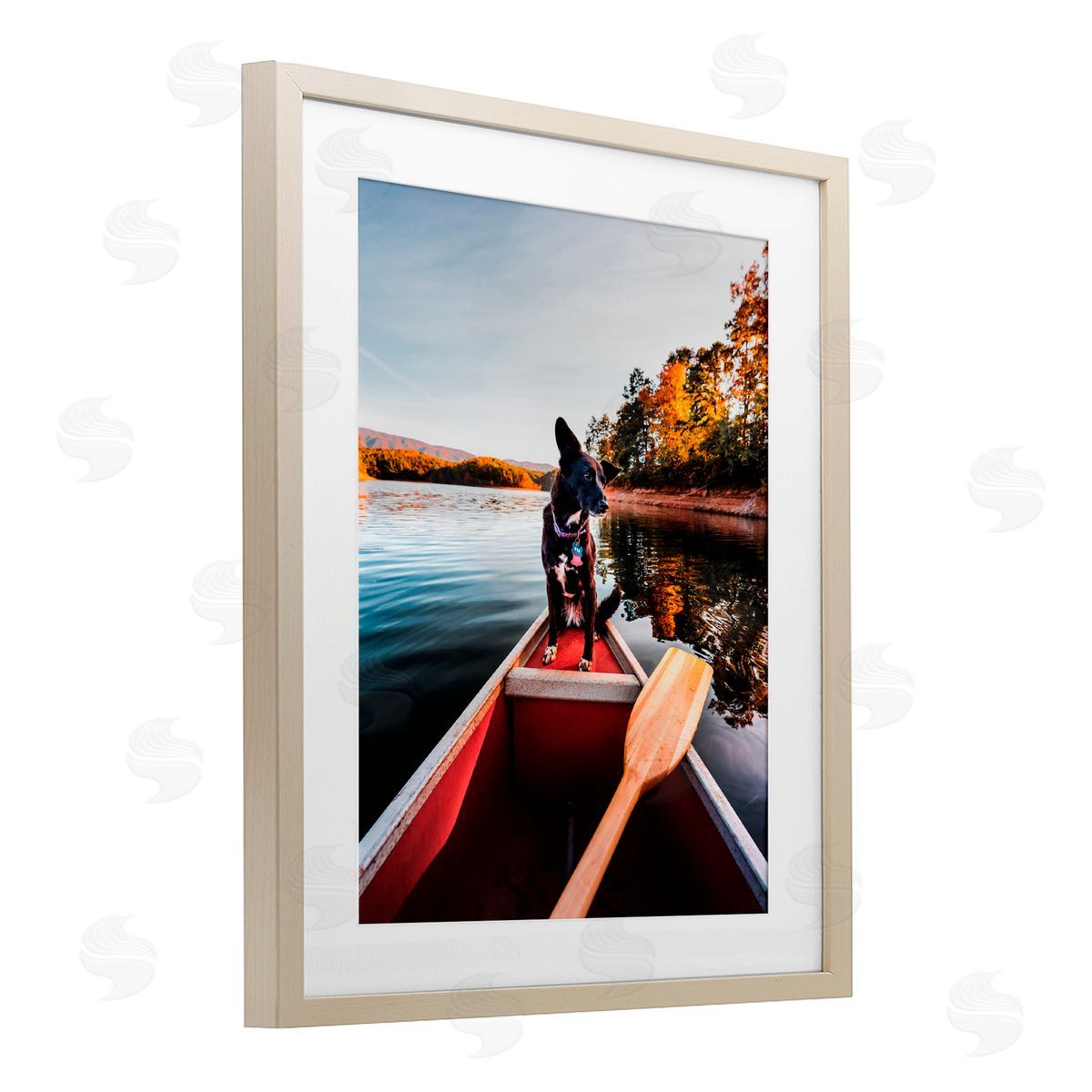 Jared Kreiss Pup And Paddles Birch Framed Print Under Glass with White Mat Wall Art