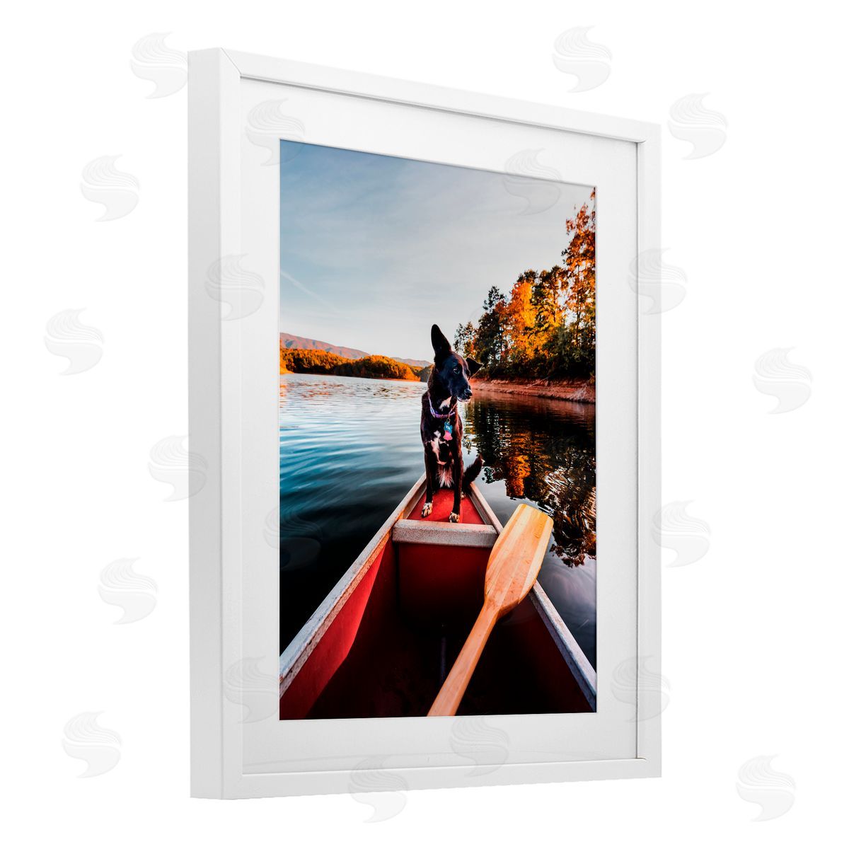 Jared Kreiss Pup And Paddles White Framed Print Under Glass with Mat Wall Art