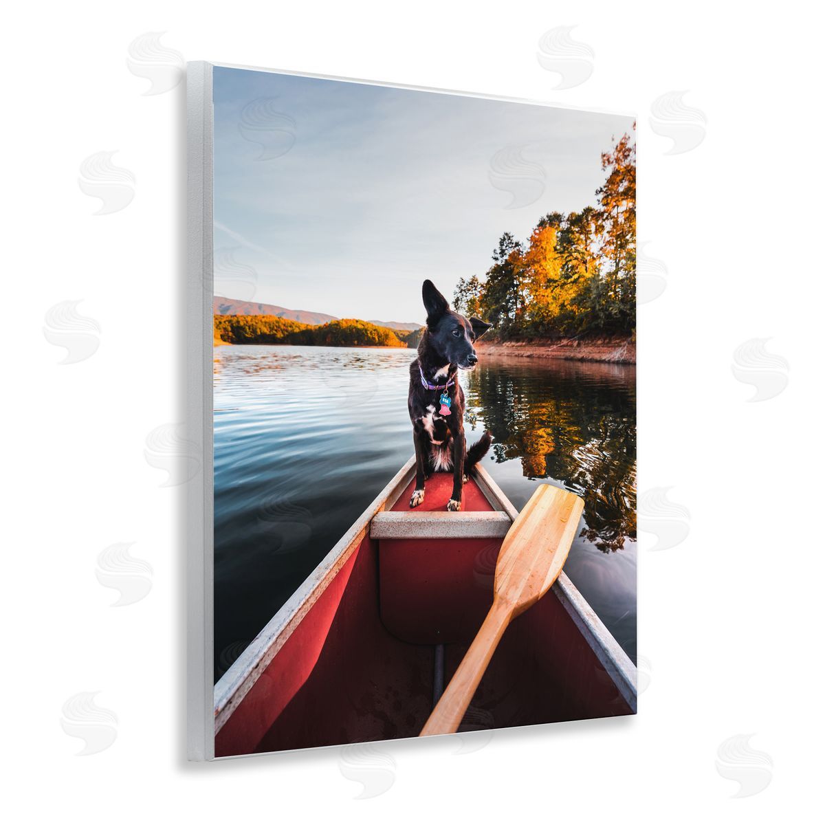 Jared Kreiss Pup And Paddles Wall Plaque Art Print