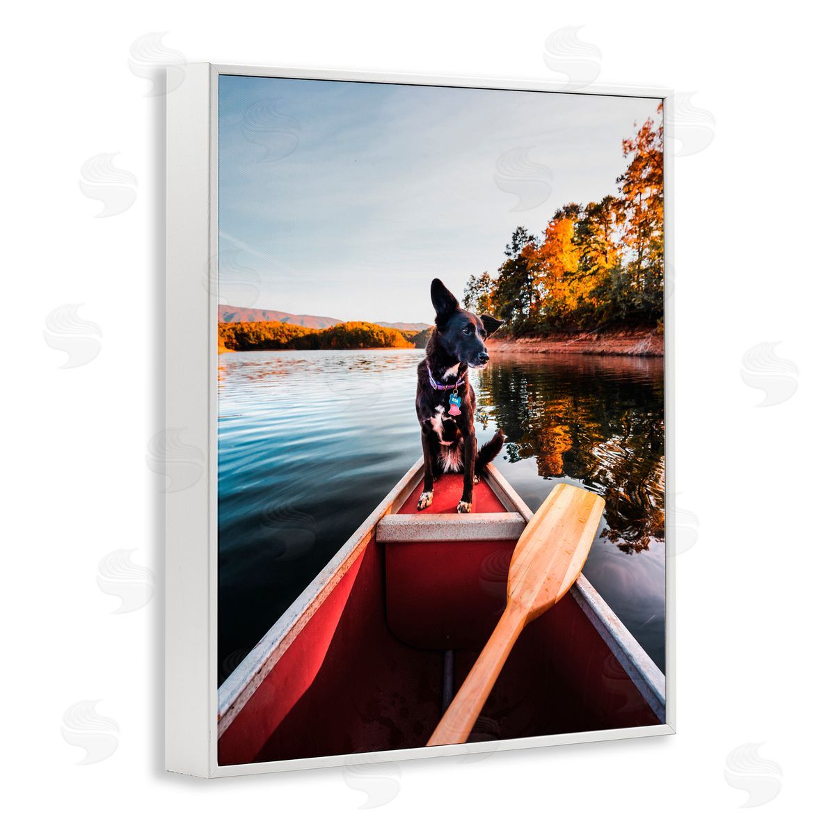 Jared Kreiss Pup And Paddles White Framed Giclee Wall Art Print