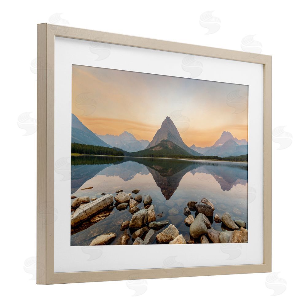 Jeff Poe Photography National Park Central Mountain Birch Framed Print Under Glass with White Mat Wall Art