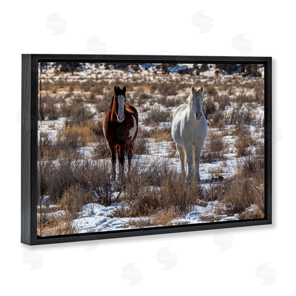 Jeff Poe Photography Arches Horse Pair in Snow Black Floating Frame Canvas Wall Art Print