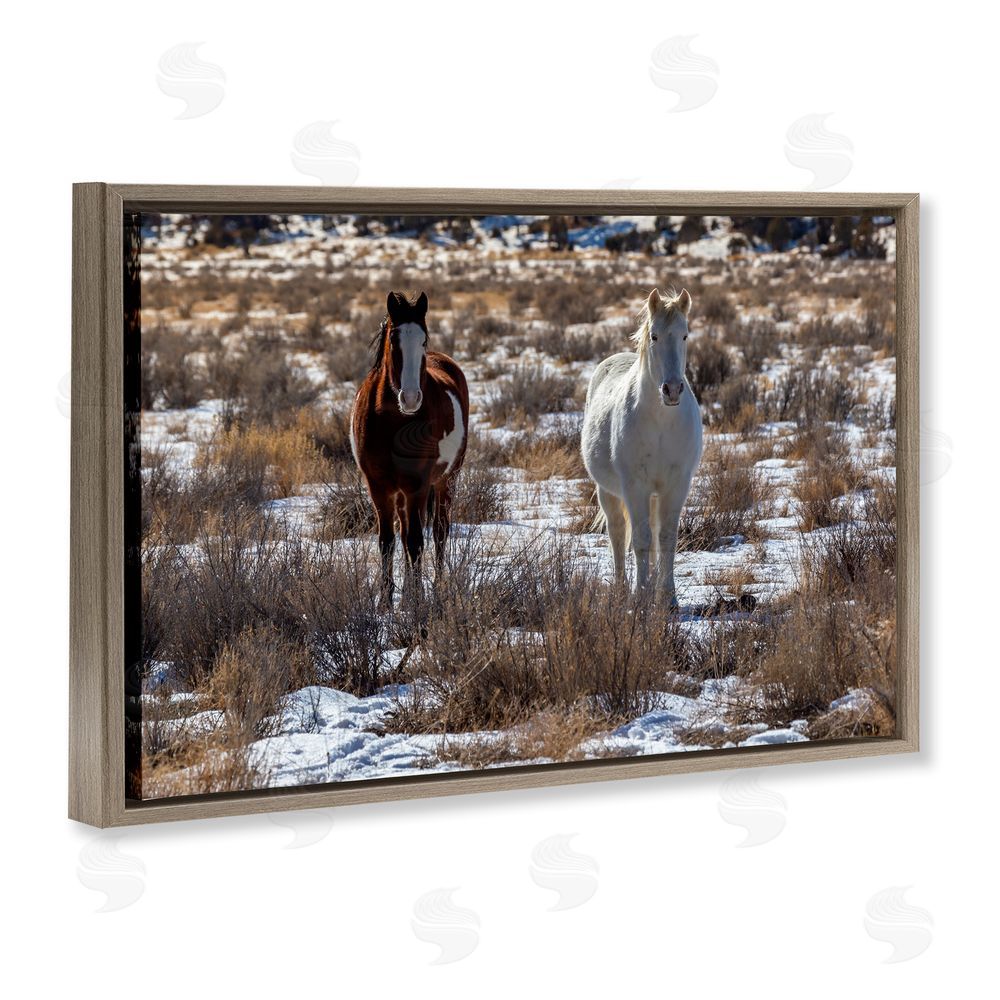 Jeff Poe Photography Arches Horse Pair in Snow Brown Floating Frame Canvas Wall Art Print