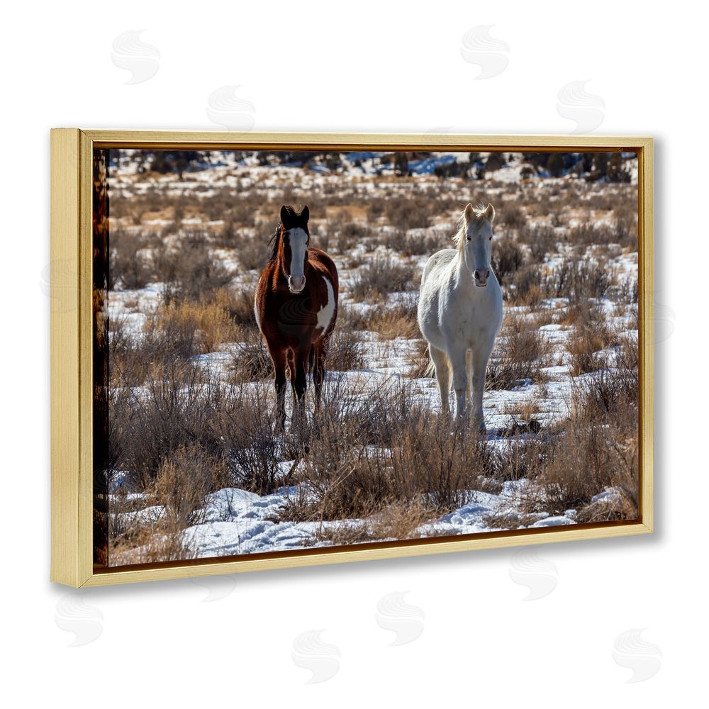 Jeff Poe Photography Arches Horse Pair in Snow Gold Floating Frame Canvas Wall Art Print