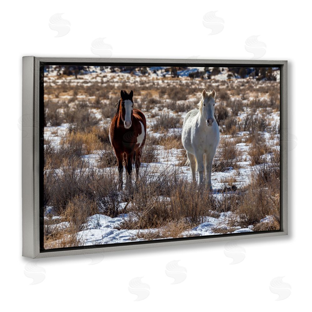 Jeff Poe Photography Arches Horse Pair in Snow Gray Floating Frame Canvas Wall Art Print