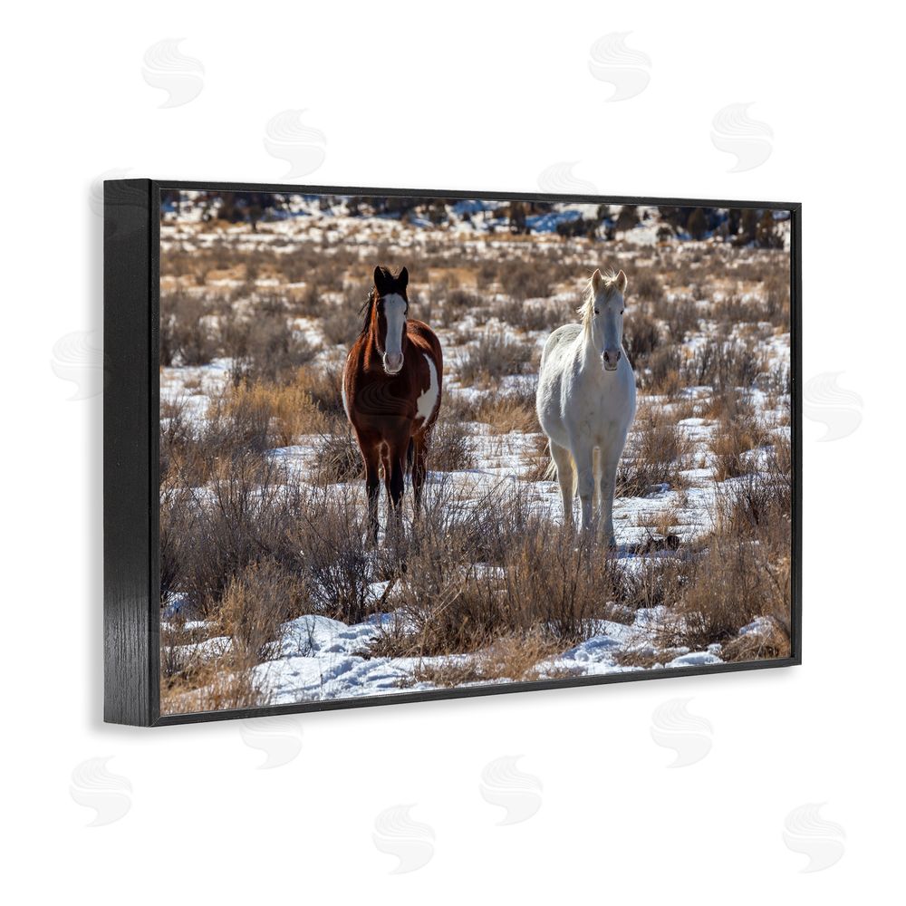 Jeff Poe Photography Arches Horse Pair in Snow Black Framed Giclee Wall Art Print